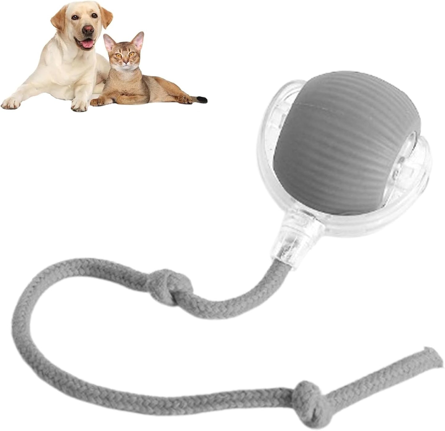 😻Automatisk Interaktiv Kul Katt Jagar Boll🐶