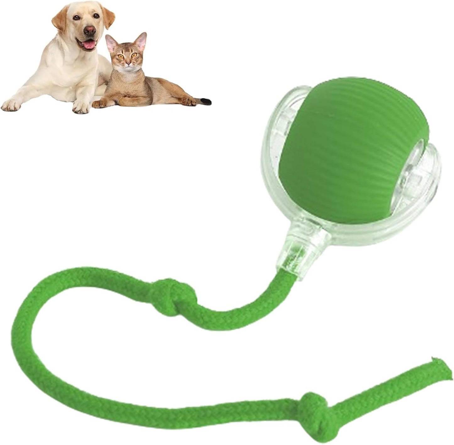 😻Automatisk Interaktiv Kul Katt Jagar Boll🐶