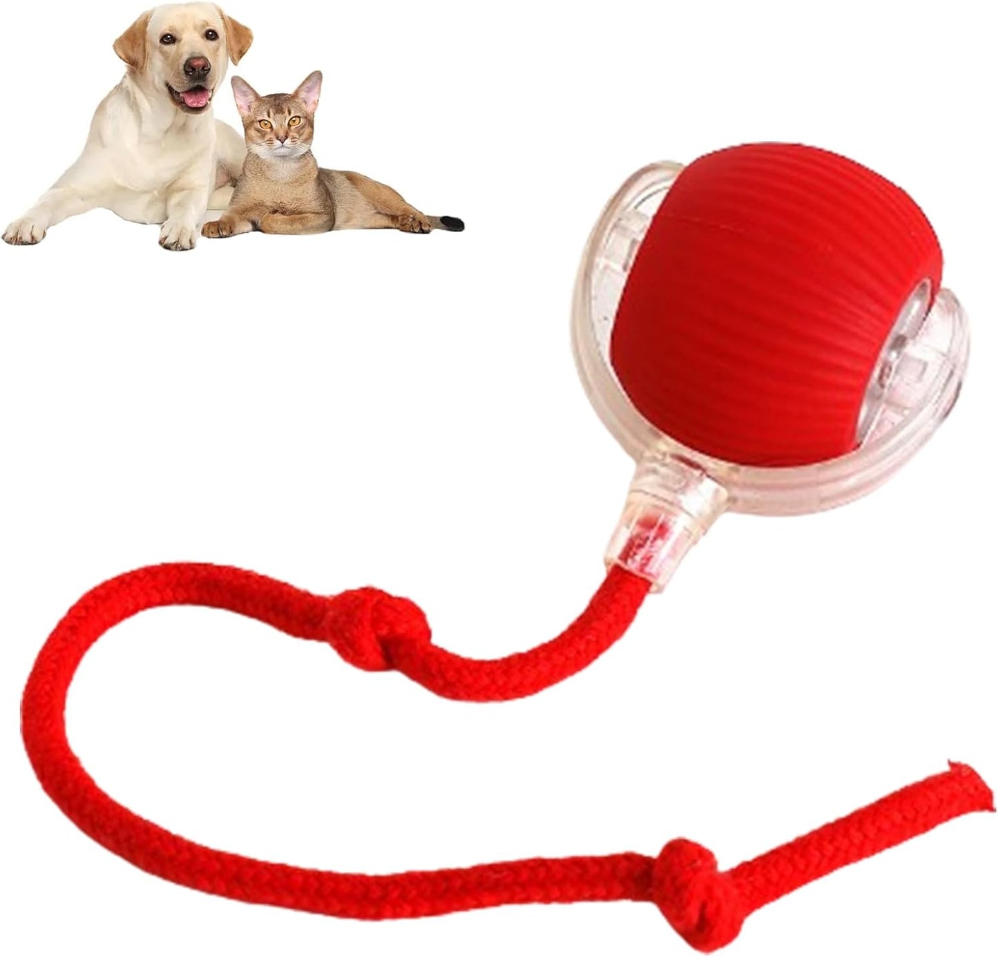 😻Automatisk Interaktiv Kul Katt Jagar Boll🐶