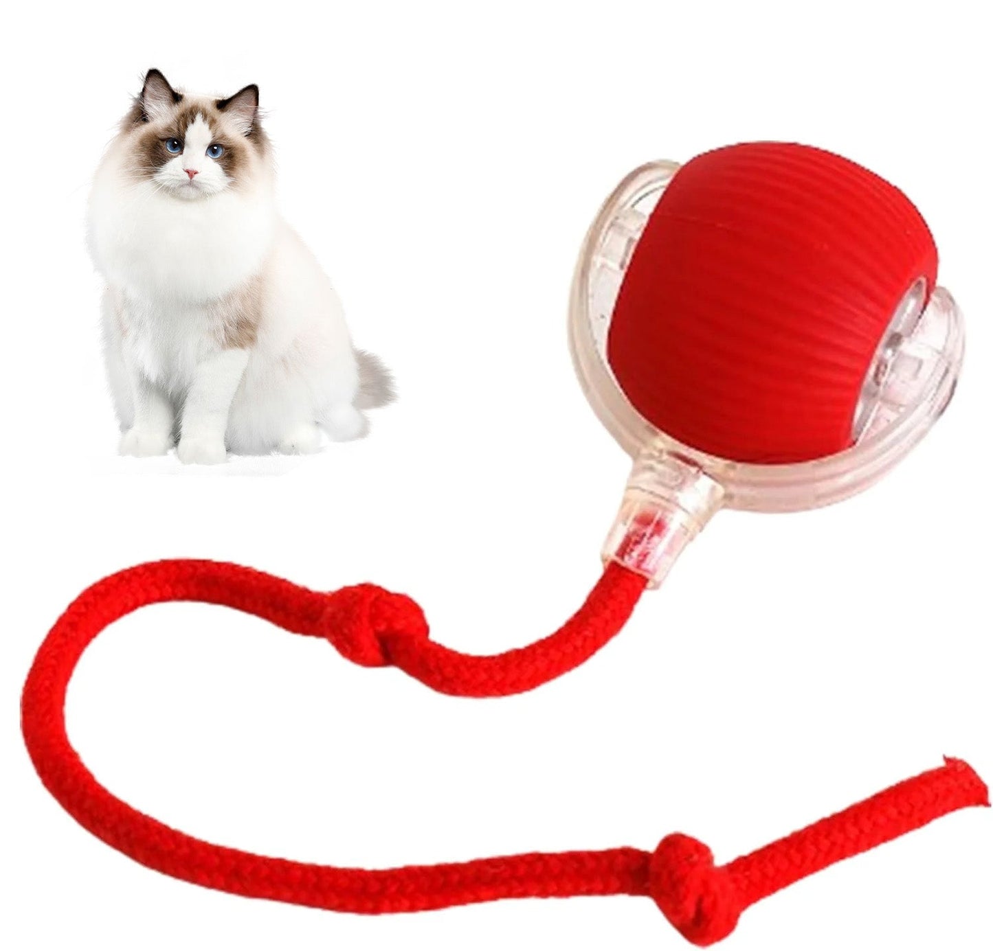 😻Automatisk Interaktiv Kul Katt Jagar Boll🐶