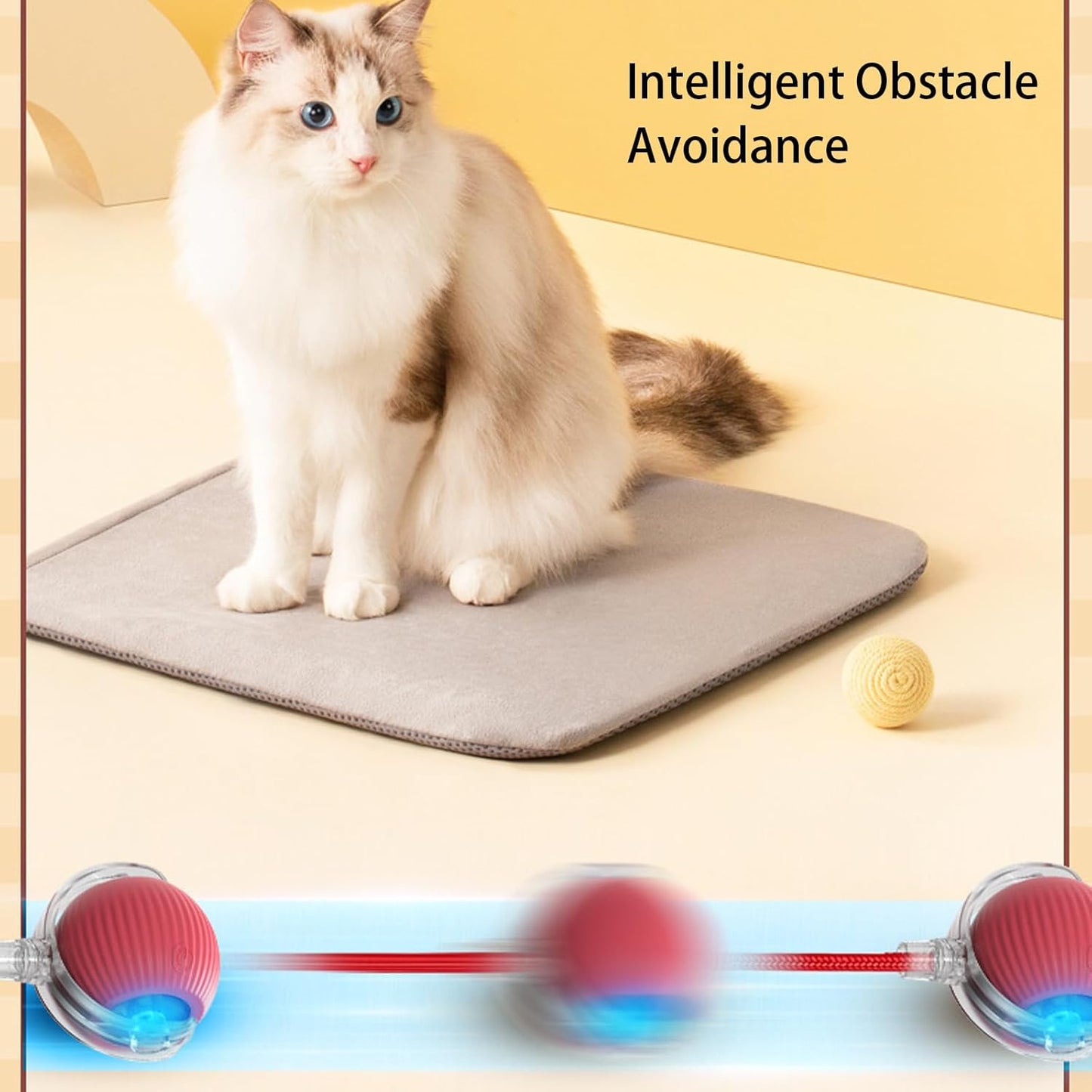 😻Automatisk Interaktiv Kul Katt Jagar Boll🐶
